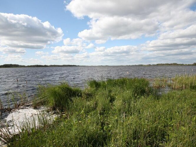 Maakond: Pärnumaa Veekogu nimi: Lavassaare järv Pildistamise aeg: 25. mai 2008 Pildistaja: H. Timm Pildistamise koht: teadmata Asimuut: