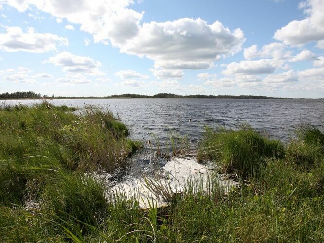 Maakond: Pärnumaa Veekogu nimi: Lavassaare järv Pildistamise aeg: 25. mai 2008 Pildistaja: H. Timm Pildistamise koht: teadmata Asimuut: