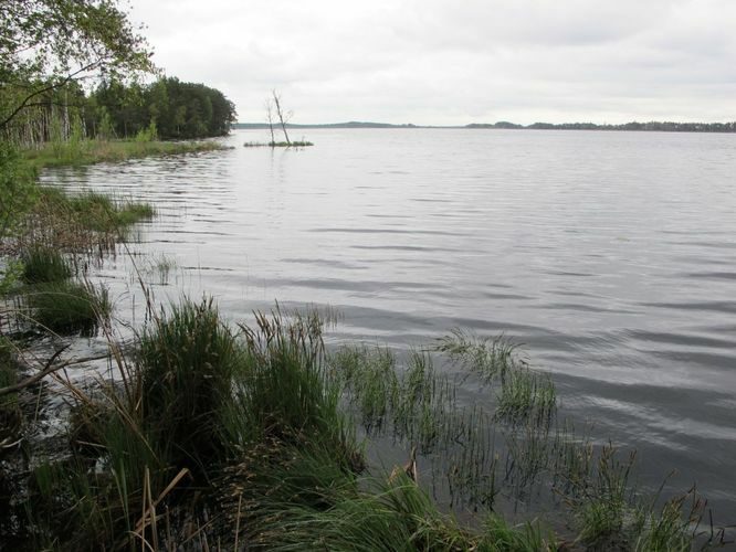 Maakond: Pärnumaa Veekogu nimi: Lavassaare järv Pildistamise aeg: 17. mai 2012 Pildistaja: H. Timm Pildistamise koht: teadmata Asimuut: