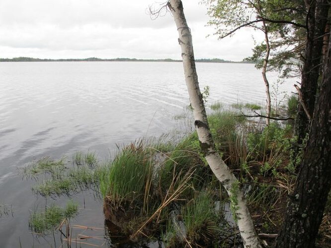 Maakond: Pärnumaa Veekogu nimi: Lavassaare järv Pildistamise aeg: 17. mai 2012 Pildistaja: H. Timm Pildistamise koht: teadmata Asimuut: