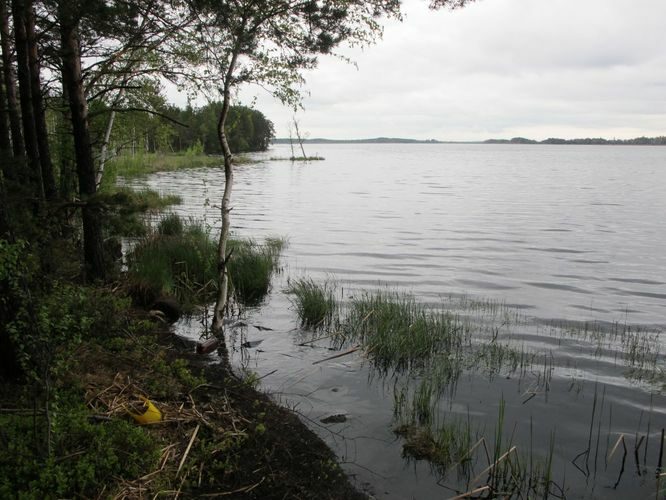 Maakond: Pärnumaa Veekogu nimi: Lavassaare järv Pildistamise aeg: 17. mai 2012 Pildistaja: H. Timm Pildistamise koht: teadmata Asimuut: