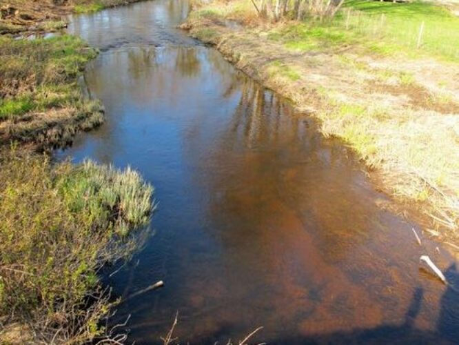 Maakond: Põlvamaa Veekogu nimi: Leevi jõgi Pildistamise aeg: 3. mai 2011 Pildistaja: H. Timm Pildistamise koht: Karilatsi Asimuut: