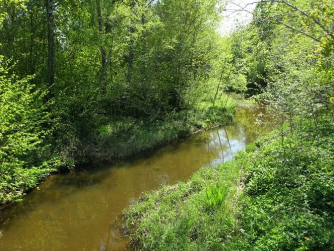 Maakond: Saaremaa Veekogu nimi: Leisi jõgi Pildistamise aeg: 21. mai 2011 Pildistaja: H. Timm Pildistamise koht: sild alamjooksul Asimuut: