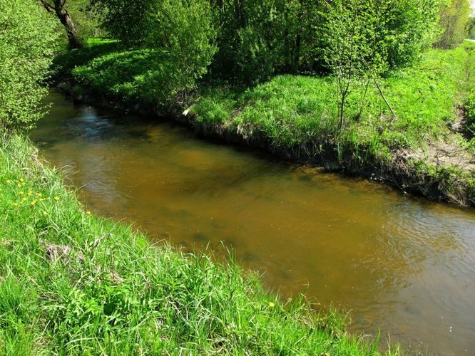 Maakond: Saaremaa Veekogu nimi: Leisi jõgi Pildistamise aeg: 21. mai 2011 Pildistaja: H. Timm Pildistamise koht: sild alamjooksul Asimuut: