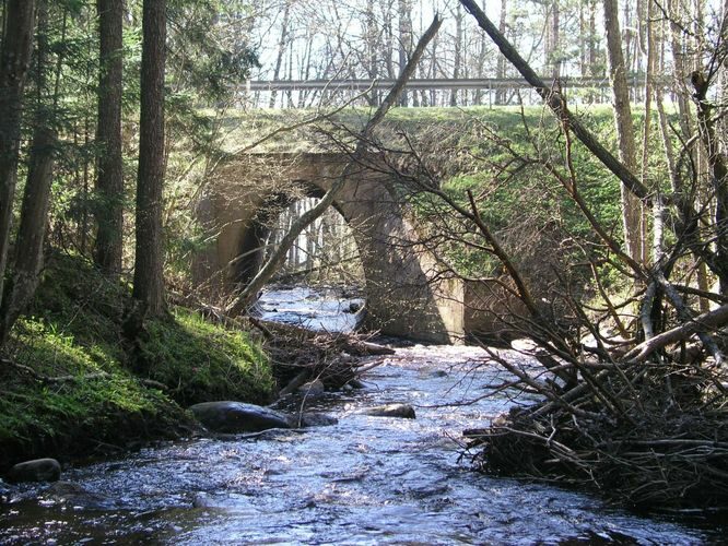 Maakond: Pärnumaa Veekogu nimi: Lemme jõgi Pildistamise aeg: 26. aprill 2008 Pildistaja: H. Timm Pildistamise koht: Orajõe Asimuut: