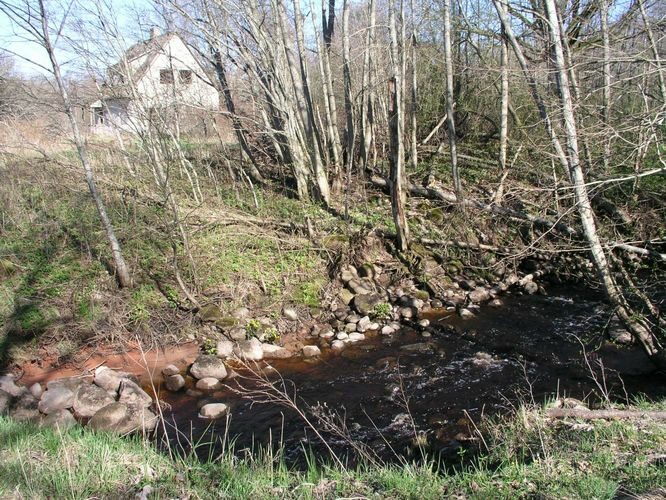 Maakond: Pärnumaa Veekogu nimi: Lemme jõgi Pildistamise aeg: 26. aprill 2008 Pildistaja: H. Timm Pildistamise koht: Teaste Asimuut: