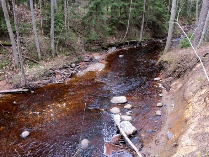 Maakond: Pärnumaa Veekogu nimi: Lemme jõgi Pildistamise aeg: 28. aprill 2010 Pildistaja: H. Timm Pildistamise koht: alamjooks Asimuut: