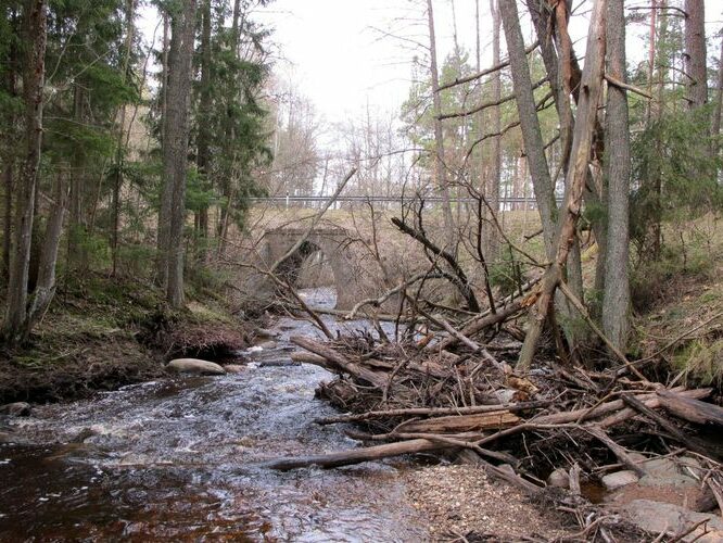 Maakond: Pärnumaa Veekogu nimi: Lemme jõgi Pildistamise aeg: 28. aprill 2010 Pildistaja: H. Timm Pildistamise koht: alamjooks Asimuut: