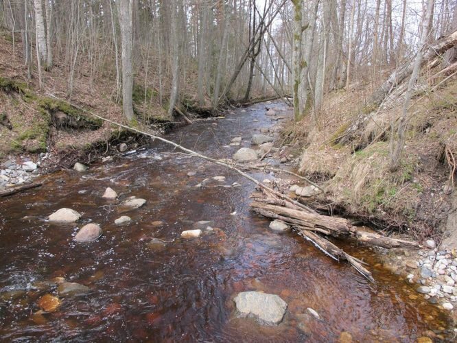 Maakond: Pärnumaa Veekogu nimi: Lemme jõgi Pildistamise aeg: 28. aprill 2010 Pildistaja: H. Timm Pildistamise koht: alamjooks Asimuut: