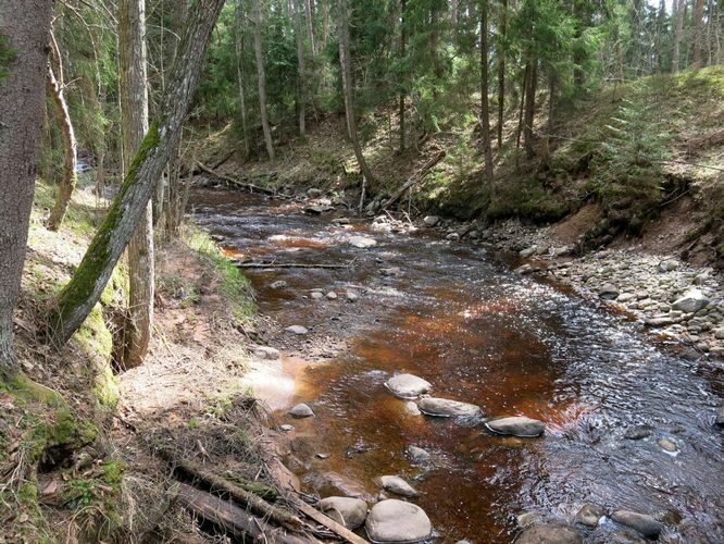 Maakond: Pärnumaa Veekogu nimi: Lemmejõgi Pildistamise aeg: 9. mai 2013 Pildistaja: H. Timm Pildistamise koht: teadmata Asimuut: