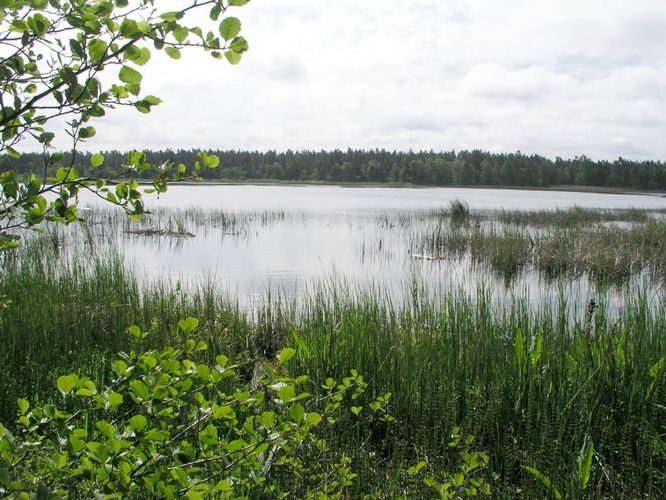 Maakond: Läänemaa Veekogu nimi: Lepaauk Pildistamise aeg: 6. juuni 2003 Pildistaja: H. Timm Pildistamise koht: teadmata Asimuut: