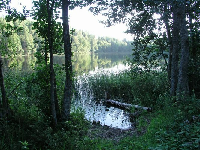 Maakond: Põlvamaa Veekogu nimi: Liinujärv Pildistamise aeg: 20. august 2006 Pildistaja: H. Timm Pildistamise koht: teadmata Asimuut: