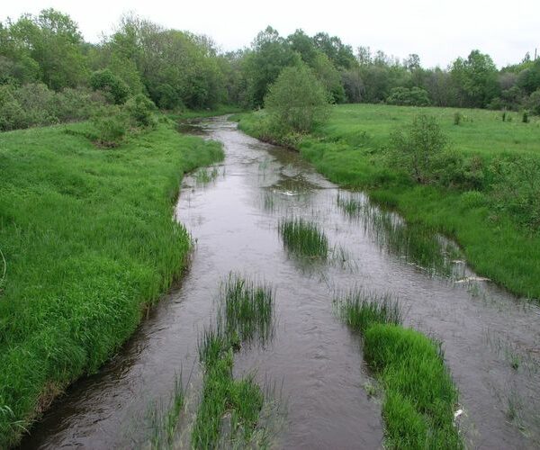 Maakond: Läänemaa Veekogu nimi: Liivi jõgi Pildistamise aeg: 4. juuni 2005 Pildistaja: H. Timm Pildistamise koht: teadmata Asimuut: