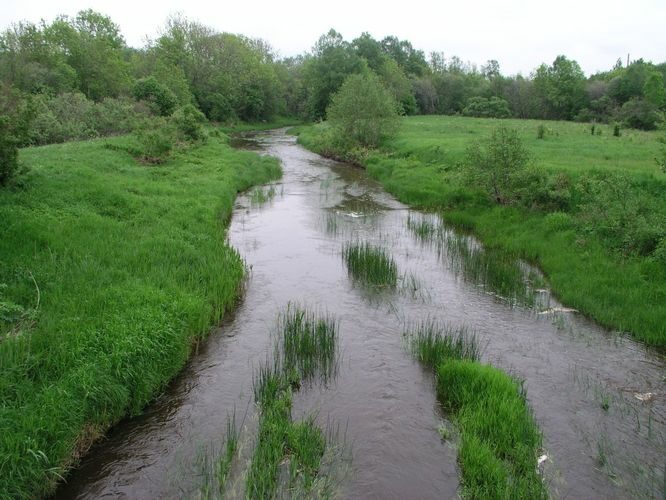 Maakond: Läänemaa Veekogu nimi: Liivi jõgi Pildistamise aeg: 4. juuni 2005 Pildistaja: H. Timm Pildistamise koht: teadmata Asimuut: