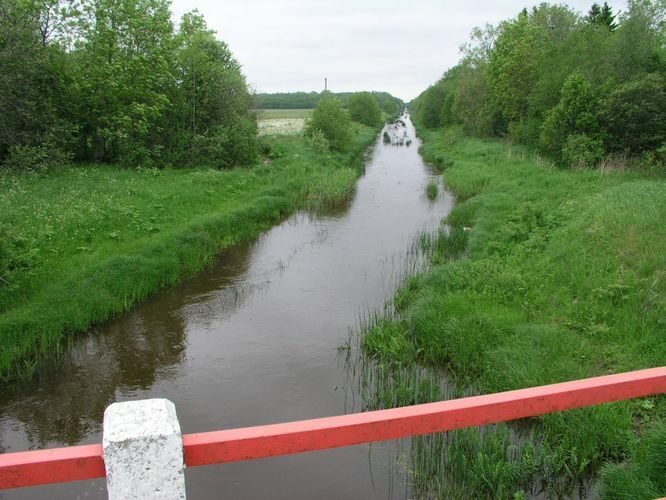 Maakond: Läänemaa Veekogu nimi: Liivi jõgi Pildistamise aeg: 4. juuni 2005 Pildistaja: H. Timm Pildistamise koht: teadmata Asimuut: