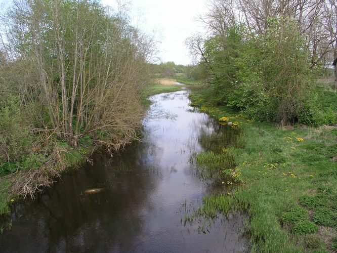 Maakond: Läänemaa Veekogu nimi: Liivi jõgi Pildistamise aeg: 16. mai 2009 Pildistaja: H. Timm Pildistamise koht: Jõgisoo Asimuut: