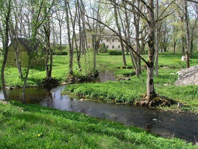 Maakond: Läänemaa Veekogu nimi: Liivi jõgi Pildistamise aeg: 16. mai 2009 Pildistaja: H. Timm Pildistamise koht: Koluvere Asimuut: