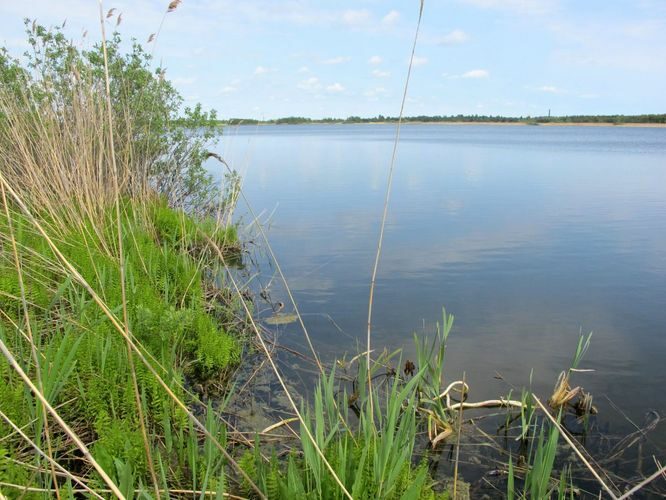 Maakond: Saaremaa Veekogu nimi: Linnulaht Pildistamise aeg: 24. mai 2010 Pildistaja: H. Timm Pildistamise koht: teadmata Asimuut: