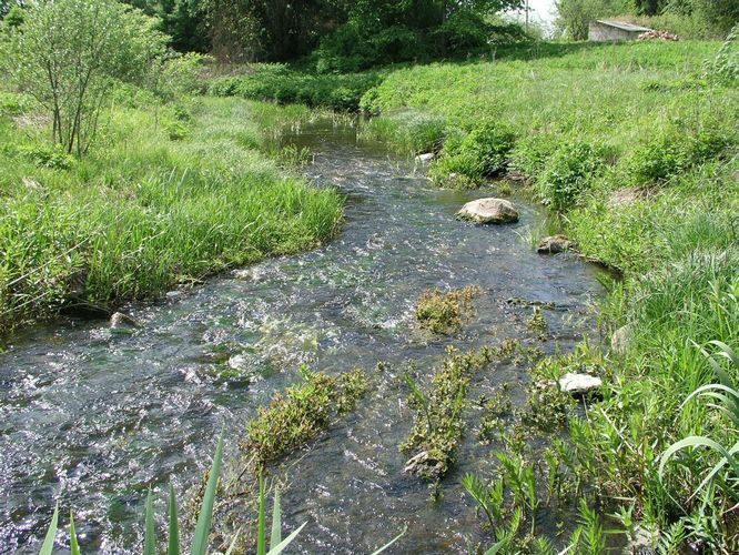 Maakond: Järvamaa Veekogu nimi: Lokuta jõgi Pildistamise aeg: 22. mai 2008 Pildistaja: H. Timm Pildistamise koht: Türi Asimuut: