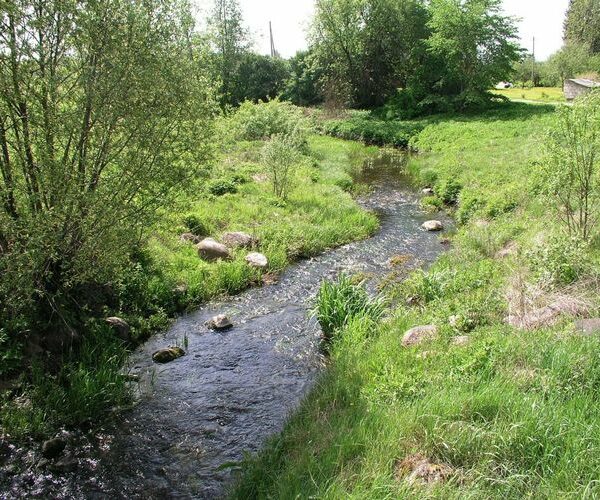 Maakond: Järvamaa Veekogu nimi: Lokuta jõgi Pildistamise aeg: 22. mai 2008 Pildistaja: H. Timm Pildistamise koht: Türi Asimuut: