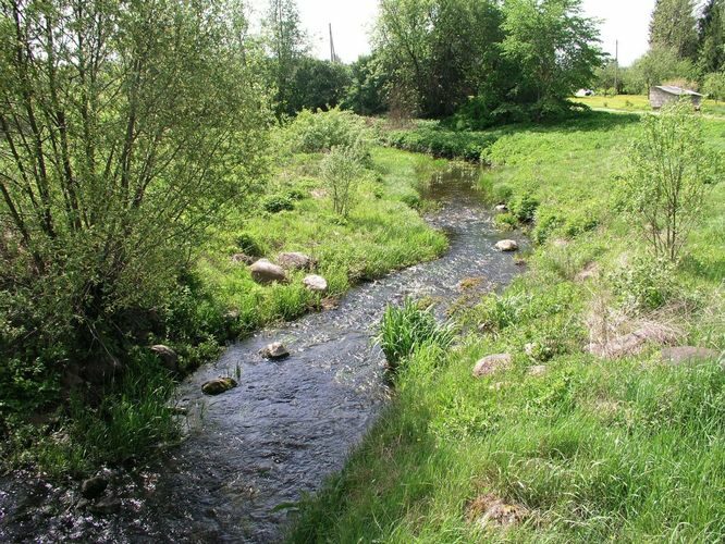 Maakond: Järvamaa Veekogu nimi: Lokuta jõgi Pildistamise aeg: 22. mai 2008 Pildistaja: H. Timm Pildistamise koht: Türi Asimuut: