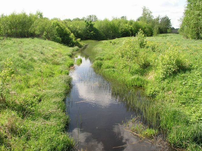 Maakond: Järvamaa Veekogu nimi: Lokuta jõgi Pildistamise aeg: 22. mai 2008 Pildistaja: H. Timm Pildistamise koht: Pala Asimuut: