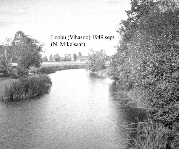 Maakond: Lääne-Virumaa Veekogu nimi: Loobu jõgi Pildistamise aeg: september 1949 Pildistaja: N. Mikelsaar Pildistamise koht: Vihasoo sillalt Asimuut: