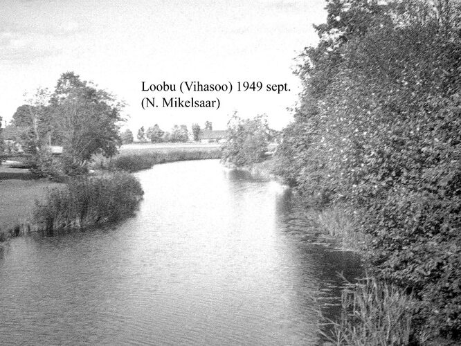 Maakond: Lääne-Virumaa Veekogu nimi: Loobu jõgi Pildistamise aeg: september 1949 Pildistaja: N. Mikelsaar Pildistamise koht: Vihasoo sillalt Asimuut: