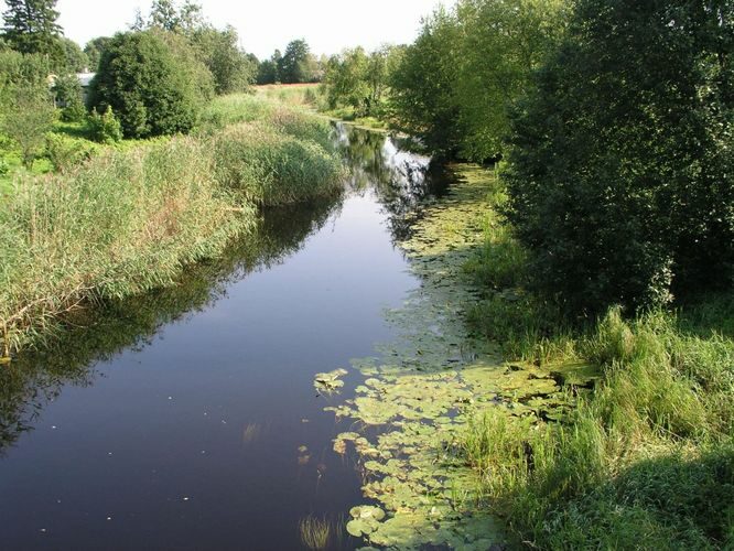 Maakond: Lääne-Virumaa Veekogu nimi: Loobu jõgi Pildistamise aeg: august 2003 Pildistaja: H. Timm Pildistamise koht: teadmata Asimuut: