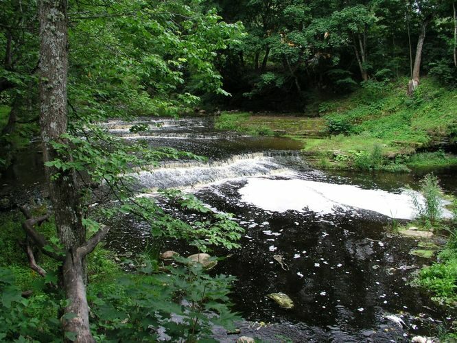 Maakond: Lääne-Virumaa Veekogu nimi: Loobu jõgi Pildistamise aeg: august 2003 Pildistaja: H. Timm Pildistamise koht: teadmata Asimuut: