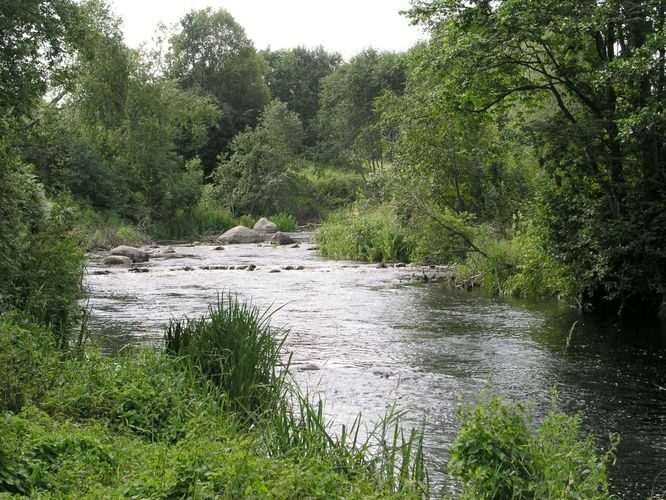 Maakond: Lääne-Virumaa Veekogu nimi: Loobu jõgi Pildistamise aeg: august 2003 Pildistaja: H. Timm Pildistamise koht: teadmata Asimuut: