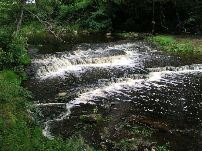 Maakond: Lääne-Virumaa Veekogu nimi: Loobu jõgi Pildistamise aeg: august 2003 Pildistaja: H. Timm Pildistamise koht: teadmata Asimuut: