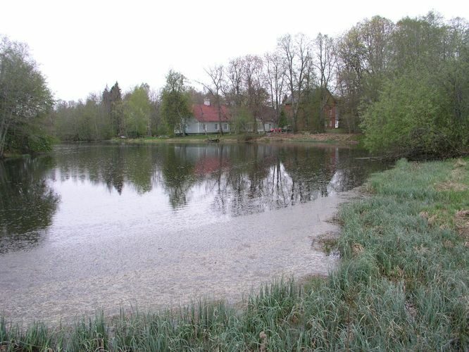 Maakond: Lääne-Virumaa Veekogu nimi: Loobu jõgi Pildistamise aeg: 18. mai 2006 Pildistaja: H. Timm Pildistamise koht: Loobu paisjärv Asimuut: