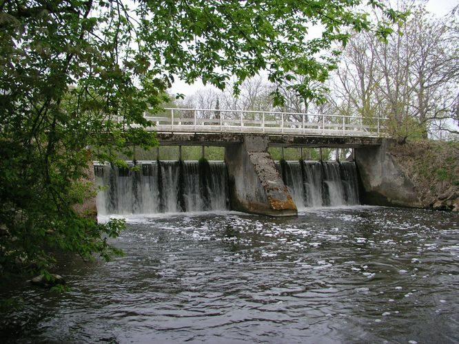 Maakond: Lääne-Virumaa Veekogu nimi: Loobu jõgi Pildistamise aeg: 18. mai 2006 Pildistaja: H. Timm Pildistamise koht: Loobu paisjärv Asimuut: