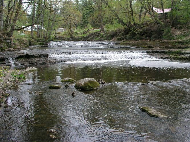 Maakond: Lääne-Virumaa Veekogu nimi: Loobu jõgi Pildistamise aeg: 18. mai 2006 Pildistaja: H. Timm Pildistamise koht: Joaveski Asimuut: