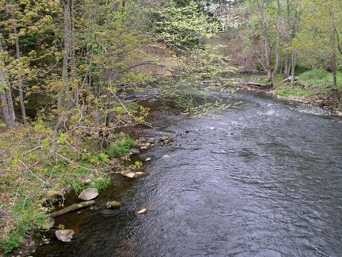 Maakond: Lääne-Virumaa Veekogu nimi: Loobu jõgi Pildistamise aeg: 18. mai 2006 Pildistaja: H. Timm Pildistamise koht: Porgaste Asimuut: