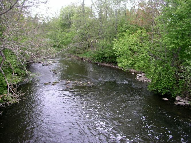 Maakond: Lääne-Virumaa Veekogu nimi: Loobu jõgi Pildistamise aeg: 18. mai 2006 Pildistaja: H. Timm Pildistamise koht: Loobu paisjärv Asimuut: