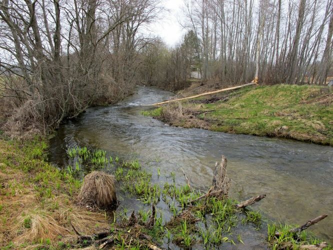 Maakond: Lääne-Virumaa Veekogu nimi: Loobu jõgi Pildistamise aeg: 1. mai 2010 Pildistaja: H. Timm Pildistamise koht: Undla Asimuut: