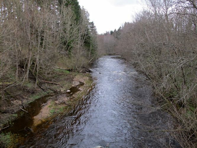 Maakond: Lääne-Virumaa Veekogu nimi: Loobu jõgi Pildistamise aeg: 1. mai 2010 Pildistaja: H. Timm Pildistamise koht: Vihasoo Asimuut: