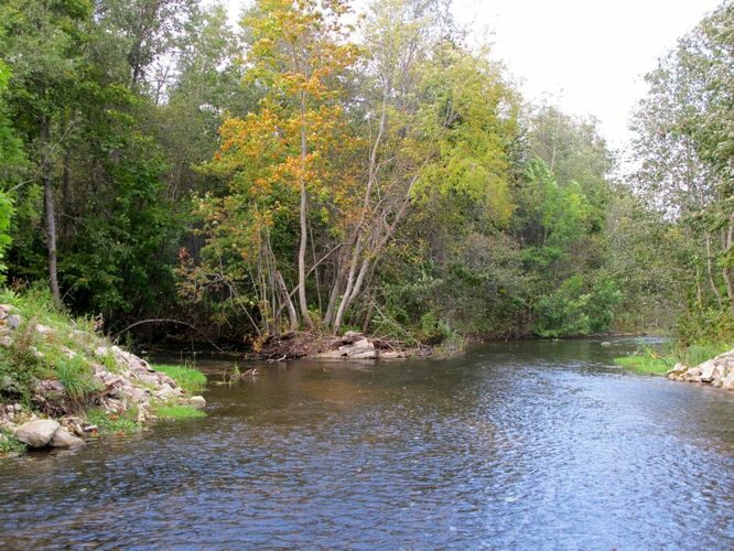 Maakond: Lääne-Virumaa Veekogu nimi: Loobu jõgi Pildistamise aeg: 17. september 2012 Pildistaja: H. Timm Pildistamise koht: Loobu Asimuut: