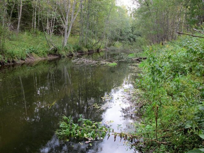 Maakond: Lääne-Virumaa Veekogu nimi: Loobu jõgi Pildistamise aeg: 17. september 2012 Pildistaja: H. Timm Pildistamise koht: ca 1 km ülalpool Arbavere Asimuut: