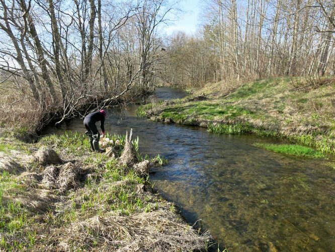 Maakond: Lääne-Virumaa Veekogu nimi: Loobu jõgi Pildistamise aeg: 26. aprill 2014 Pildistaja: H. Timm Pildistamise koht: Undla Asimuut: