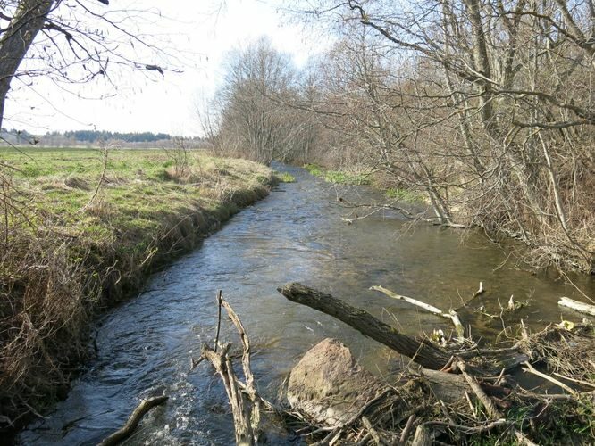 Maakond: Lääne-Virumaa Veekogu nimi: Loobu jõgi Pildistamise aeg: 26. aprill 2014 Pildistaja: H. Timm Pildistamise koht: Undla Asimuut: