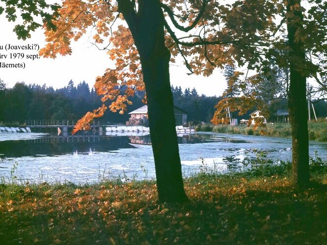 Maakond: Lääne-Virumaa Veekogu nimi: Loobu paisjärv Pildistamise aeg: september 1979 Pildistaja: A. Mäemets Pildistamise koht: teadmata Asimuut: