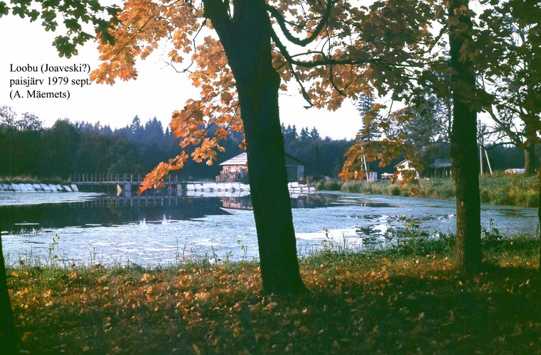 Maakond: Lääne-Virumaa Veekogu nimi: Loobu paisjärv Pildistamise aeg: september 1979 Pildistaja: A. Mäemets Pildistamise koht: teadmata Asimuut: