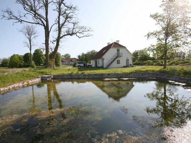 Maakond: Saaremaa Veekogu nimi: Loona mõisa tiik Pildistamise aeg: 24. mai 2008 Pildistaja: H. Timm Pildistamise koht: teadmata Asimuut: