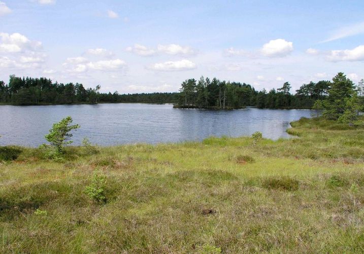 Maakond: Raplamaa Veekogu nimi: Loosalu Väikejärv Pildistamise aeg: 21. juuli 2004 Pildistaja: H. Timm Pildistamise koht: teadmata Asimuut: