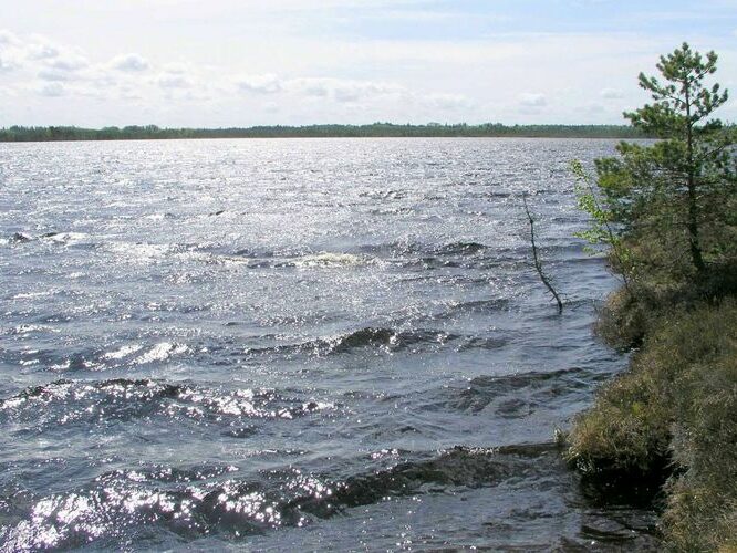 Maakond: Raplamaa Veekogu nimi: Loosalu järv Pildistamise aeg: 19. mai 2004 Pildistaja: H. Timm Pildistamise koht: teadmata Asimuut: