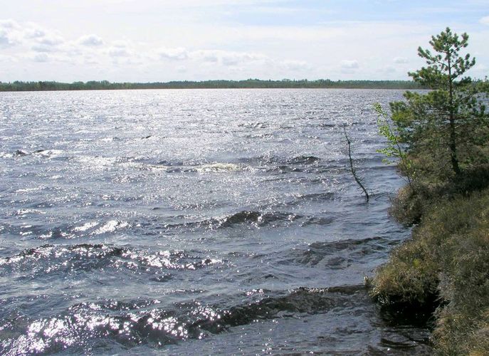 Maakond: Raplamaa Veekogu nimi: Loosalu järv Pildistamise aeg: 19. mai 2004 Pildistaja: H. Timm Pildistamise koht: teadmata Asimuut: