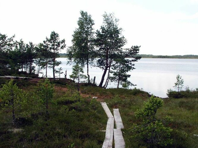 Maakond: Raplamaa Veekogu nimi: Loosalu järv Pildistamise aeg: 21. juuli 2004 Pildistaja: H. Timm Pildistamise koht: teadmata Asimuut: